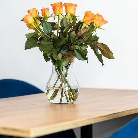 Appartement Sealife Sarbinowo