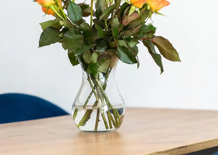 Apartment Sealife Sarbinowo